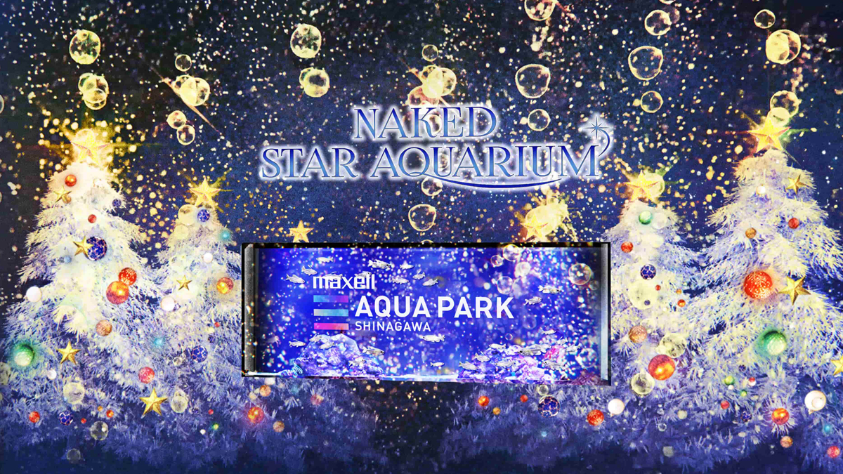 幻想的な星空の海をプロダクションマッピングと音と光を使って演出