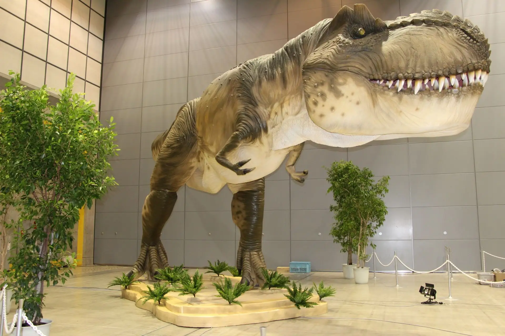 ティラノサウルスにトリケラトプス…大人気の恐竜が実物大の大迫力展示!GWは八王子の恐竜博に行ってみたい!