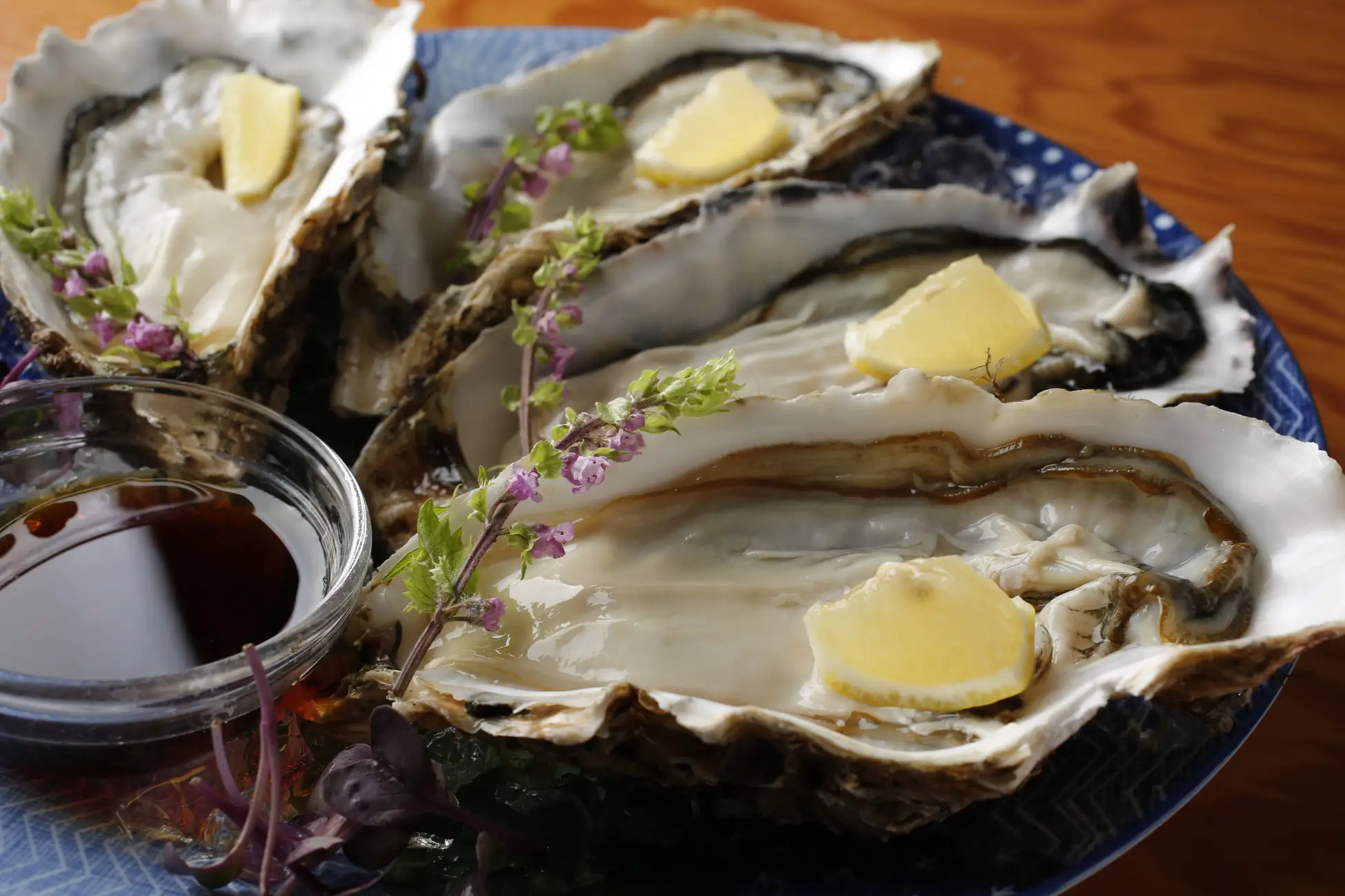 秘密基地的空間で牡蠣と寿司と日本酒を！渋谷にオープンした大人な雰囲気の海鮮居酒屋に行ってみたい！