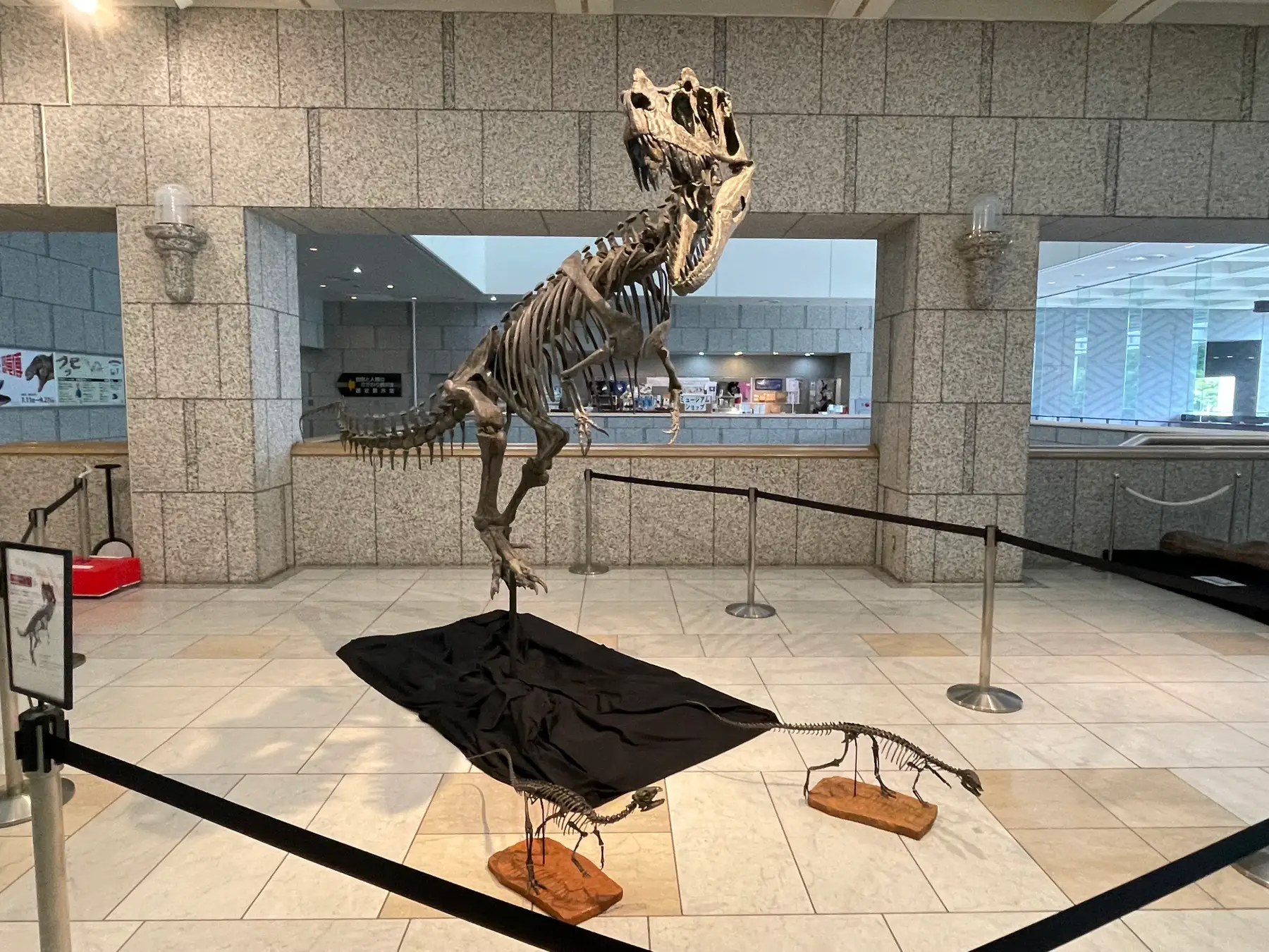 ケラトサウルス日本初公開！ 千葉で開催中の肉食恐竜とハンターたちの展覧会に興奮が止まらない！