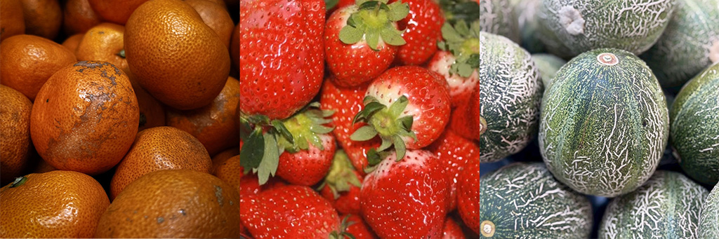 フォレストバンクで扱うC品